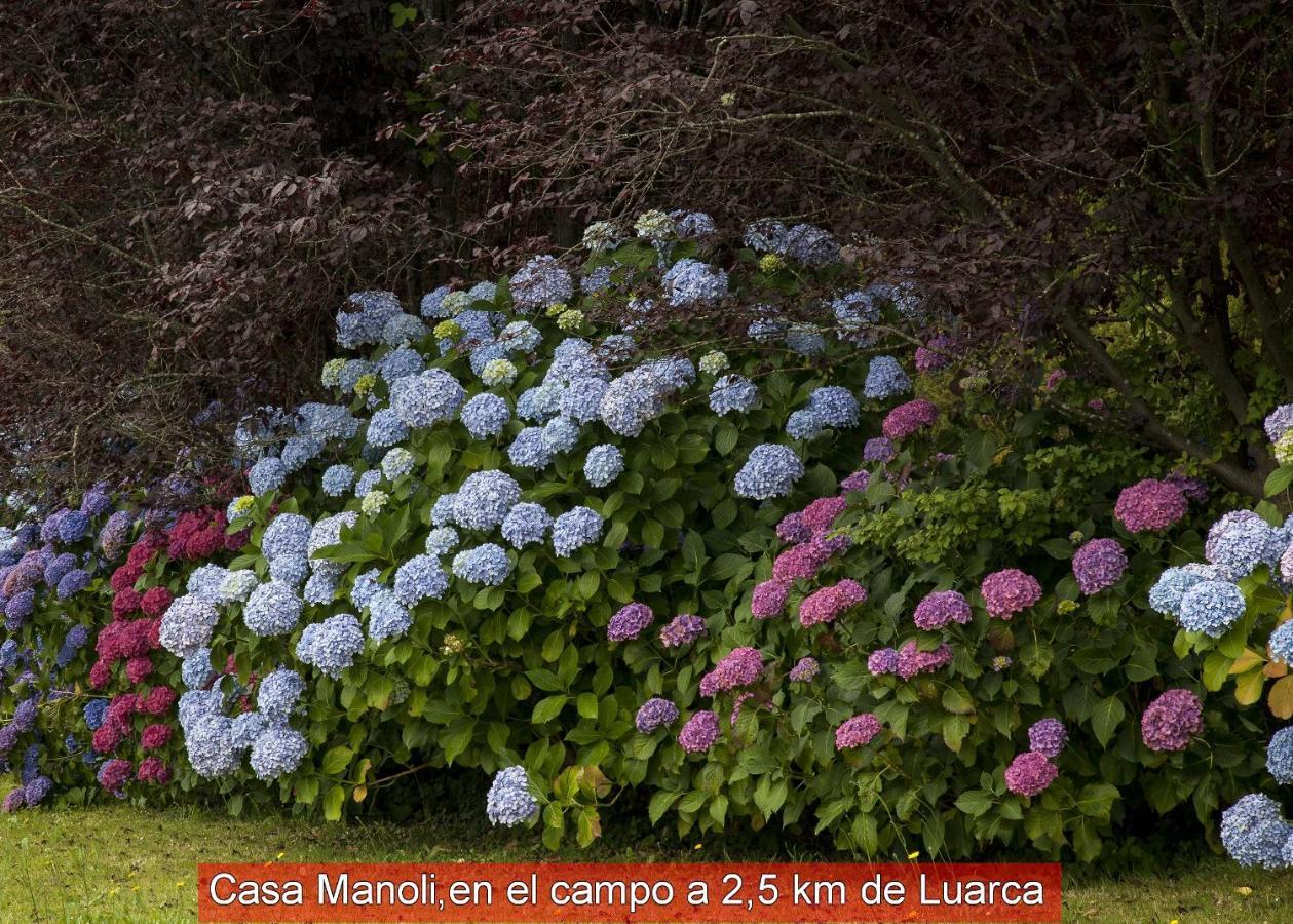 Casa Manoli Luarca Almuña Exterior foto